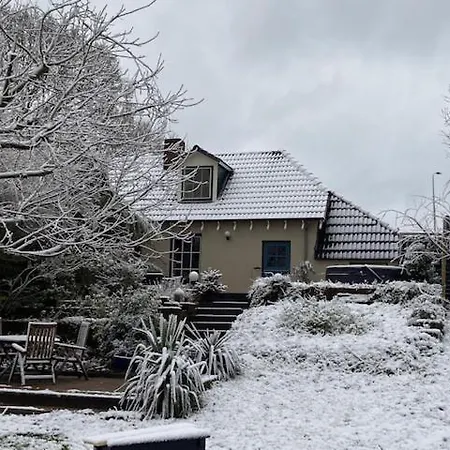 Le Petit Danz * Dreumel